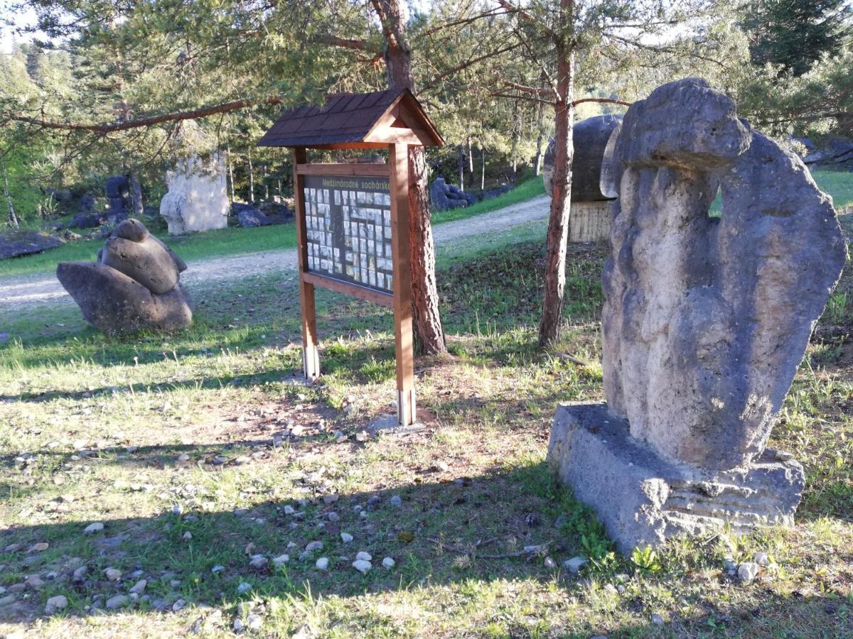 Vyšné Ružbachy U Bazanta *** - Ubytovanie V Sukromi מראה חיצוני תמונה
